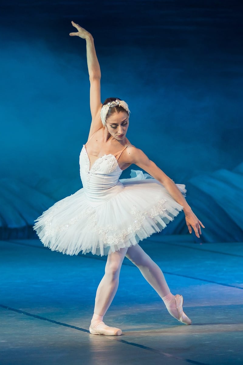 Ballet Fitness Class